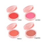 BT Blush Color - Bruna Tavares